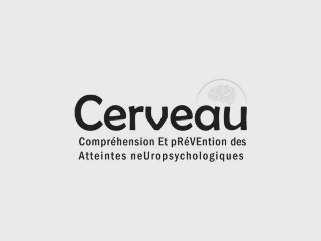 https://www.cliniquefocus.com/wp-content/uploads/2023/11/cerveau-640x480.jpg